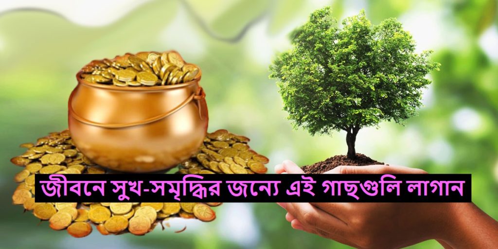 Lucky plants for wealth and peace - জীবনে সুখ, সমৃদ্ধি ও শান্তির জন্যে কিছু গাছ