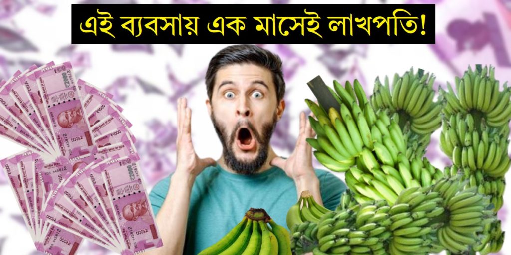 Highly profitable business idea of Banana Powder : কলা গুঁড়োর লাভজনক ব্যবসার আইডিয়া