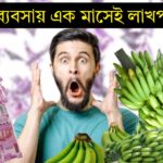 Highly profitable business idea of Banana Powder : কলা গুঁড়োর লাভজনক ব্যবসার আইডিয়া