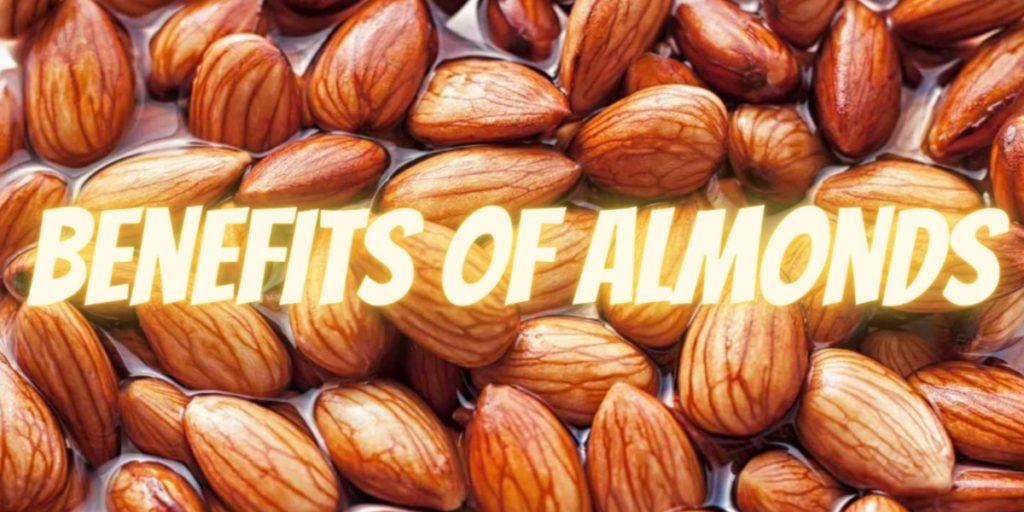 ভিজিয়ে খেলে আমন্ড এর উপকারিতা বৃদ্ধি পায়, এমনটাই দাবী অনেকের / Many people claim that almond benefits increase by soaking them