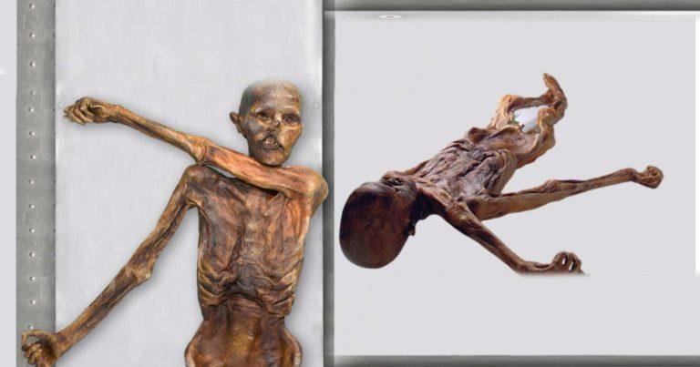 Mummy: ৫৩০০ বছর পুরনো মমির অভিশাপ – ছুঁলেই মৃত্যু	