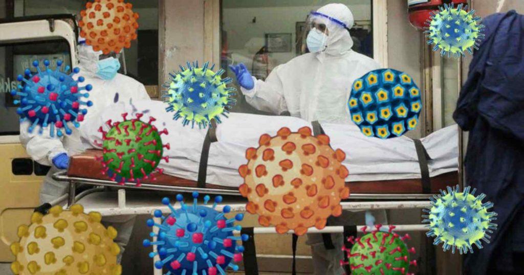 Nipah Virus in India: কেরালা থেকে কি পুরো ভারতে সংক্রমণ ছড়িয়ে পড়তে পারে?