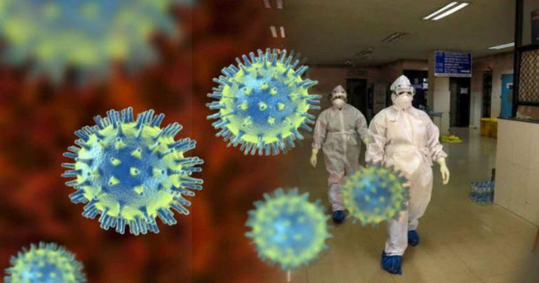 Nipah Virus in India: কেরালায় আবার নিপা ভাইরাসের আতঙ্ক! সংক্রমণ ছড়াতে পারে?	